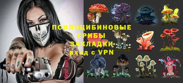 ALPHA PVP Верхний Тагил